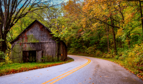 Cadiz Trigg, KY